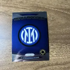 FCインテル チームバッジカード No.8