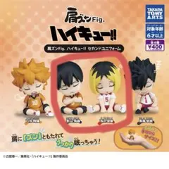 孤爪研磨 カプセルトイ