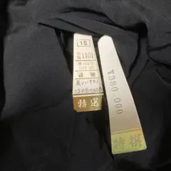 Item thumbnail for item 2b05e8e7-034c-4343-ab5a-80ef238c3487