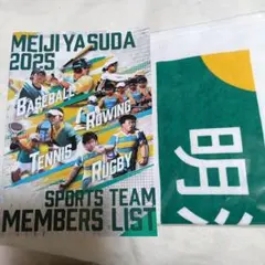 社会人野球 2025 明治安田生命 応援タオル&選手名鑑