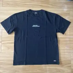 Dickies ブラック Tシャツ LLサイズ