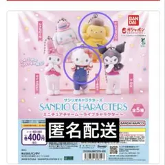 サンリオキャラクターズ　ミニチュアチャーム