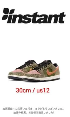 Arts Rec × Nike SB Dunk Low Pro QS 30cm