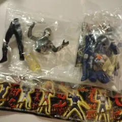 バンダイ HGシリーズ 仮面ライダーアギト登場編 2種セット