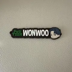 ウォヌ　セブンティーン　1番くじ　petiteen ラバーキーホルダー　セブチ