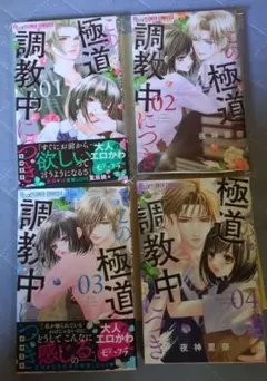 トムぴょん様 リクエスト 2点 まとめ商品