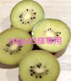 itigo23様専用 東京ゴールド　クリーピングタイム