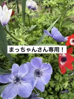 ひかるルギア ☆ SM3+ ひかる伝説 058/072 - メルカリ