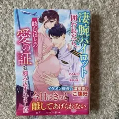 凄腕パイロットに囲われたら、眩むほどの愛の証を刻み込まれました