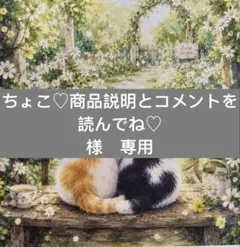 ちょこ♡商品説明とコメントを読んでね♡様　専用