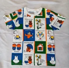 Item thumbnail for item 29977111-4c77-4ebf-b660-26ef29319b0f