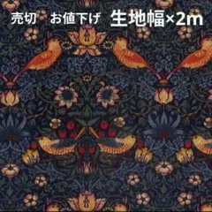 2m ストロベリーシーフ インディゴ モダファブリック