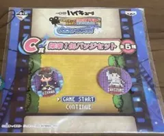 ハイキュー　及川徹　岩泉一 缶バッジ　一番くじ　クエストボックス