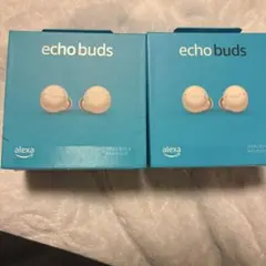 新品未開封★Echo Buds (エコーバッズ)のサムネイル