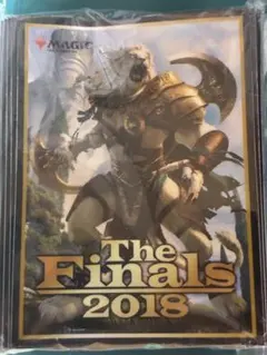 The Finals 2018 アジャニスリーブ　限定品