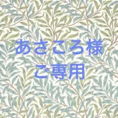 Item thumbnail for item 66d29d70-bd88-455e-91d7-6e3d0fc8fb88