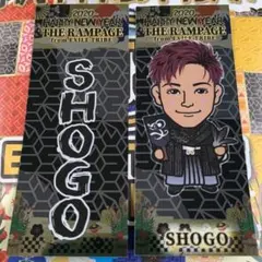 岩谷翔吾 千社札 ステッカー 正月 ①