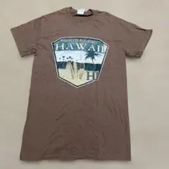 Hawaii サーフボードデザイン Tシャツ