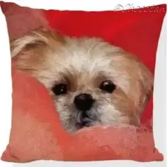 Item thumbnail for item fb406bab-0b18-43a1-a2e3-71121237593f