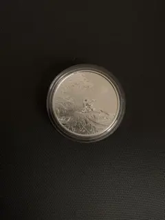 2025年最新】ディズニー 記念 純銀 メダルの人気アイテム - メルカリ