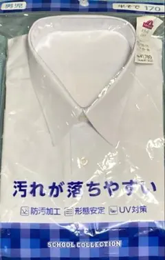 Item thumbnail for item cfed5f83-962d-4c36-87f9-21864d06bf75