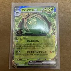 ヤバソチャ　RR