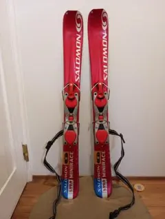 2026年最新】SALOMON ジャンル：フリースタイル 板の人気アイテム