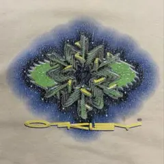 90s-00s OAKLEY SOFTWARE バイオメカ Tシャツ USA製 - メルカリ