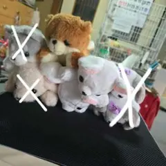 Item thumbnail for item f5e9c14a-4bed-45b3-a347-dd0dcf7bb045