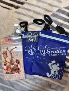 バケーションパッケージ　バックチャーム　ショルダーバッグ　ディズニー