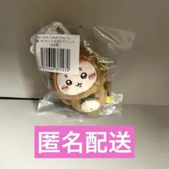 ちいかわ　たぬきだもんくじ　C賞　古本屋