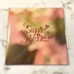 あんスタ スタフォニ 4th 別冊パンフレット 特典