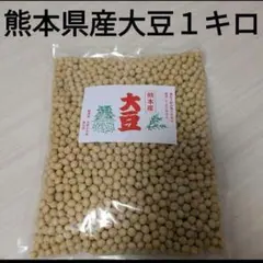熊本県産 大豆 1kg 遺伝子組み換えなしのサムネイル