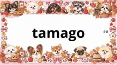 専用