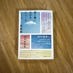 風に舞いあがるビニールシート