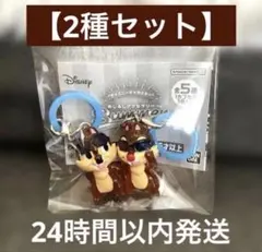【新品】ディズニー キャラクター めじるし Summer チップ デール セット