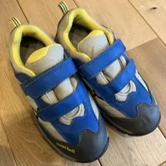 Item thumbnail for item 63a1ef13-f8eb-4671-9663-3ce2a2209834