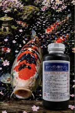 美味しいザクロ（10g×30包）×1袋 エラグ酸 最高級品マラス種ザクロ