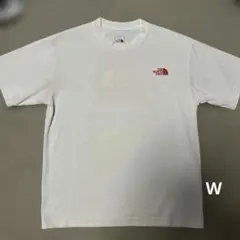 THE NORTH FACE アウトドア　Tシャツ　バンダナデザイン　ストリート