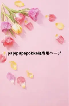 papipupepokke様 リクエスト 3点 まとめ商品