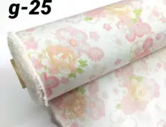 Item thumbnail for item dd5a3cd5-a883-4d3b-ad3d-e8f12ee7ef81