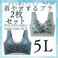 大きいサイズ ノンワイヤー ホックなし シームレス 小さく見せるブラ ナイトのサムネイル