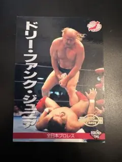 全日本プロレス∕ミニカード∕No.30∕ドリー・ファンクJr∕昭和レトロ∕希少 全日本プロレス∕ミニカード∕No.30∕ドリー・ファンクJr∕昭和