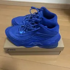 asics バスケットボールシューズ 青