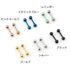 ストレートバーベル ボディピアス サージカルステンレス【片耳】18G