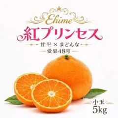 愛果48号(紅プリンセス同品種) 小玉　愛媛産5kg