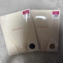 マルコ シンメトリー 新品L 2足セット レッグメイキング サイサポートシンメトリー | 補整下着(補正下着
