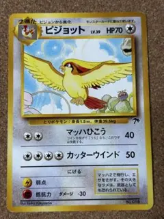 ピジョット 映画公開記念パック サザンアイランド　旧裏