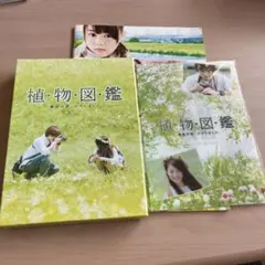 新品ケース》NHK 連続テレビ小説 わかば 総集編 DVD全2巻（管1074