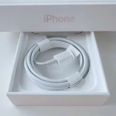 Apple純正 USB-C Lightningケーブル